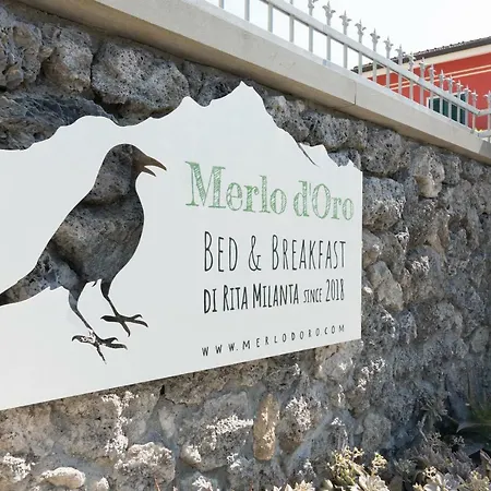 فندق مبيت وإفطار Merlo D'oro كارارا