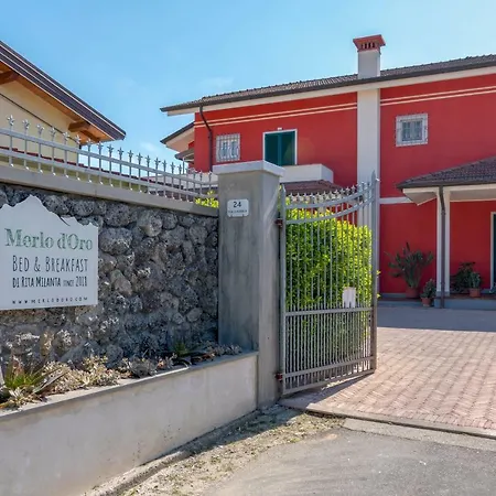 Merlo D'oro كارارا